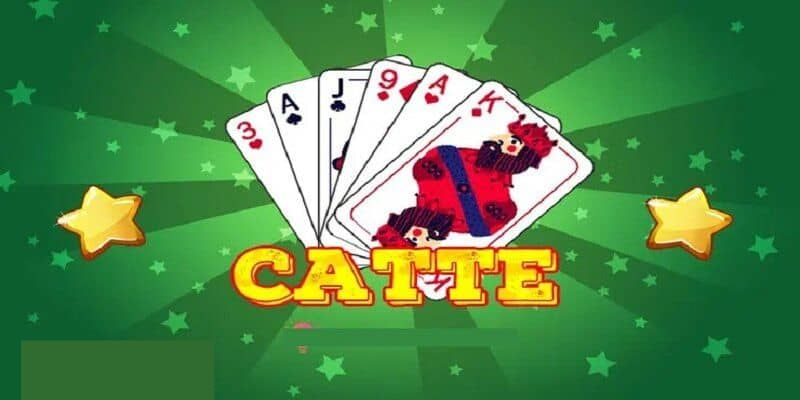 bai-catte-1