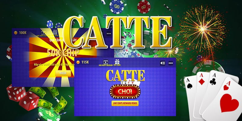 bai-catte-2