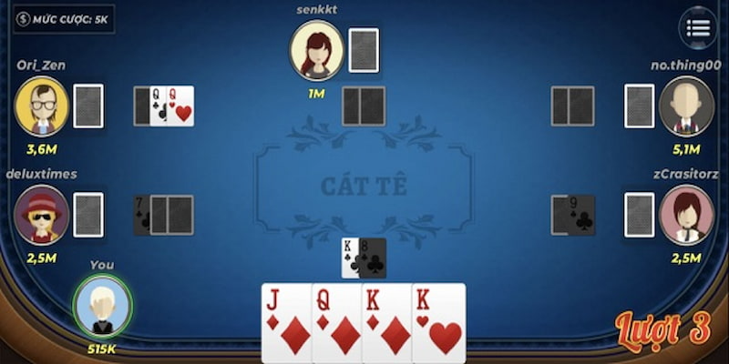 bai-catte-3